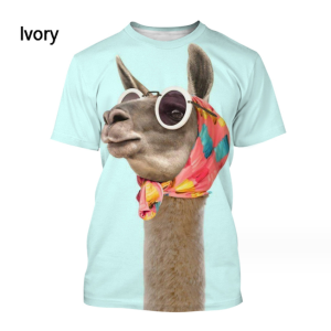 Glassy Donkey