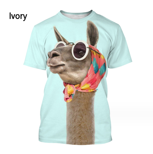 Glassy Donkey